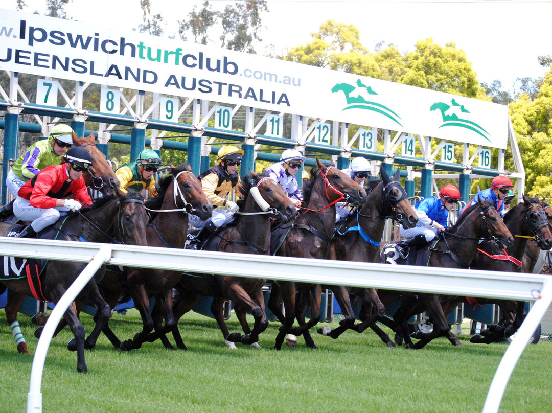 Ipswich Turf Club Inc-伊普斯威奇必去景点