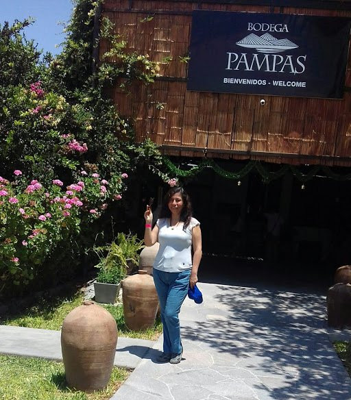 Bodega Pampas-伊卡必去景点