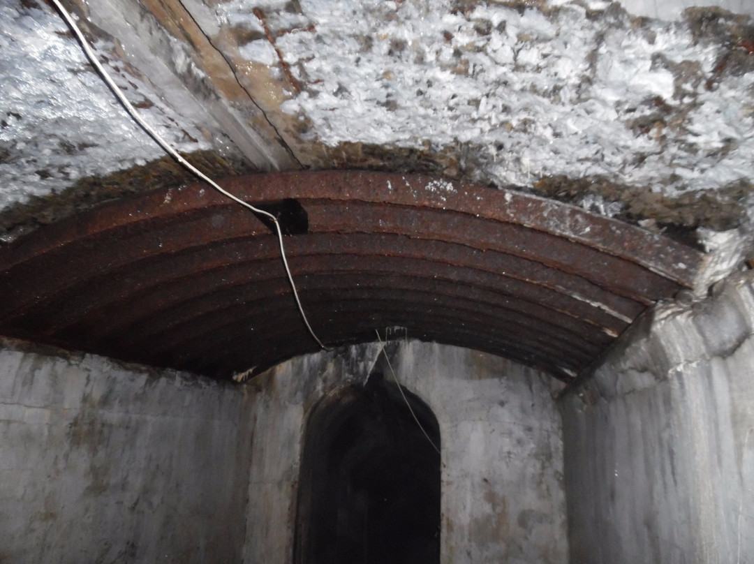 Fort #7 named after Tsarevich Alexey景点图片