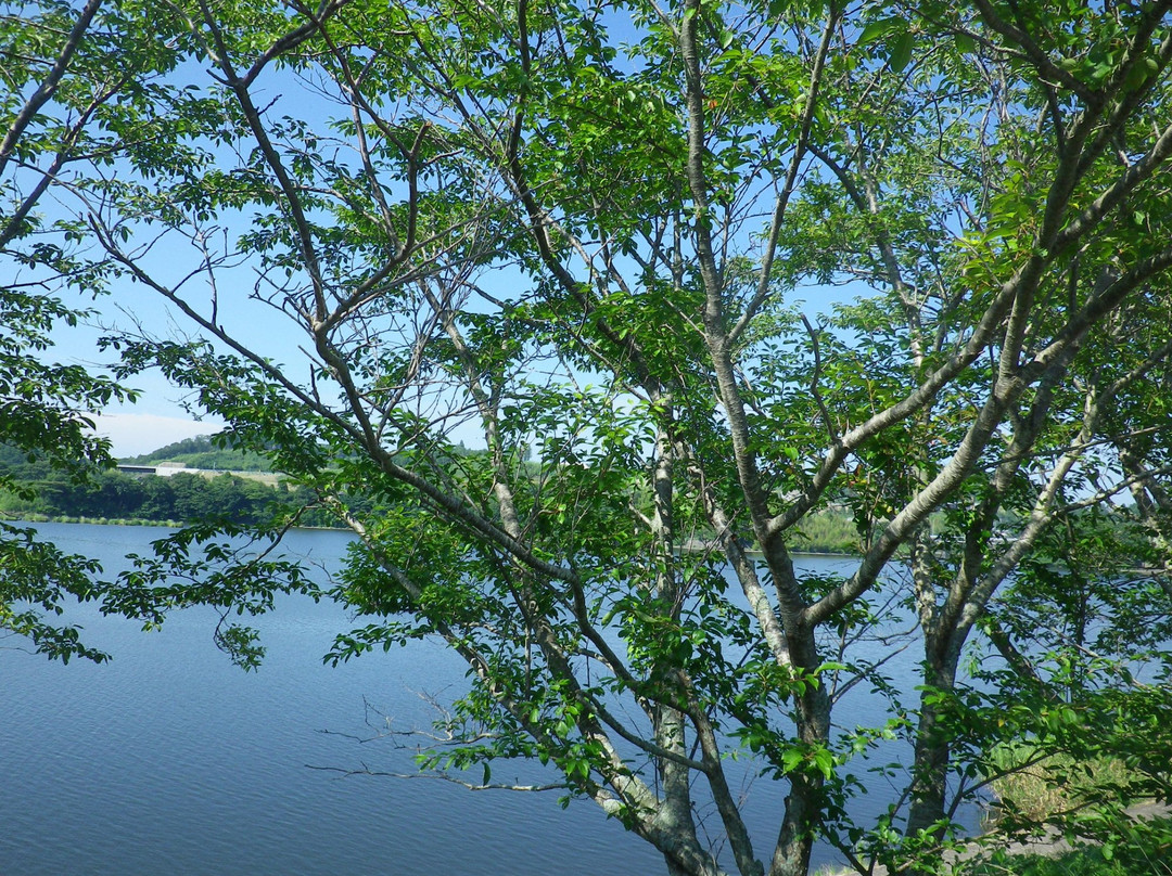Takataki Lake-市原市必去景点