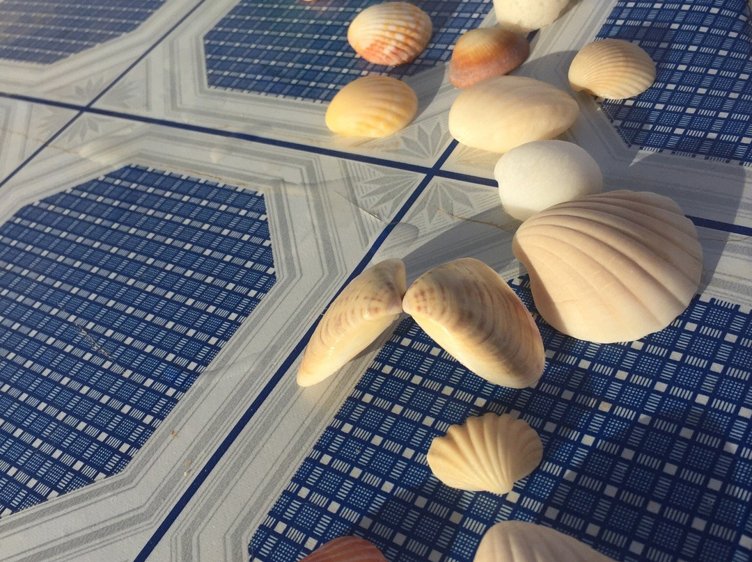 Plage de Nouakchott-诺克少必去景点