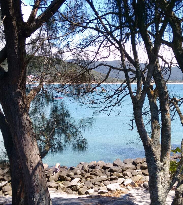 Ilha das Campanhas景点图片