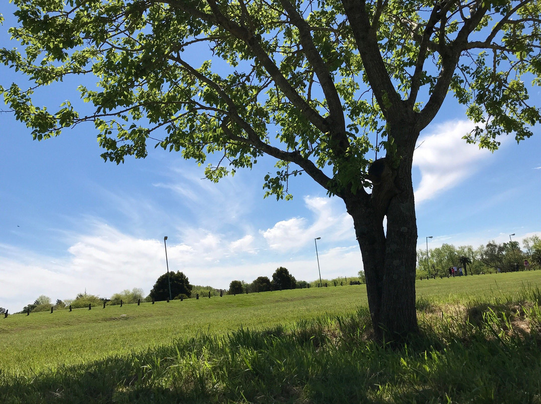 Parque Ecológico Municipal-拉普拉塔必去景点