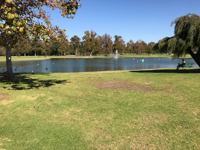 威廉梅森地区公园-尔湾必去景点