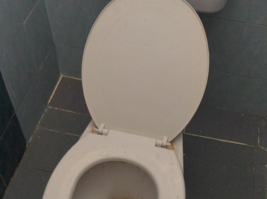 Labis hot spring-拉美士必去景点