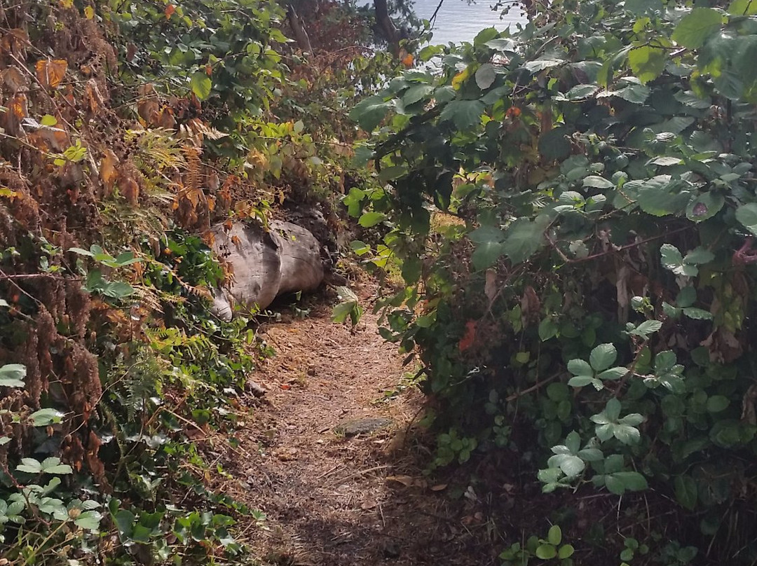 Caulfeild Cove景点图片