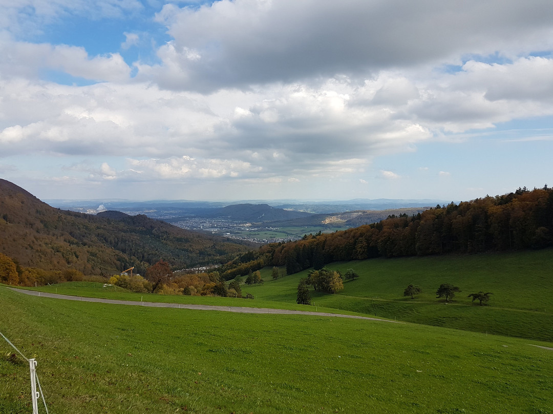 Rickenbach旅游攻略图片