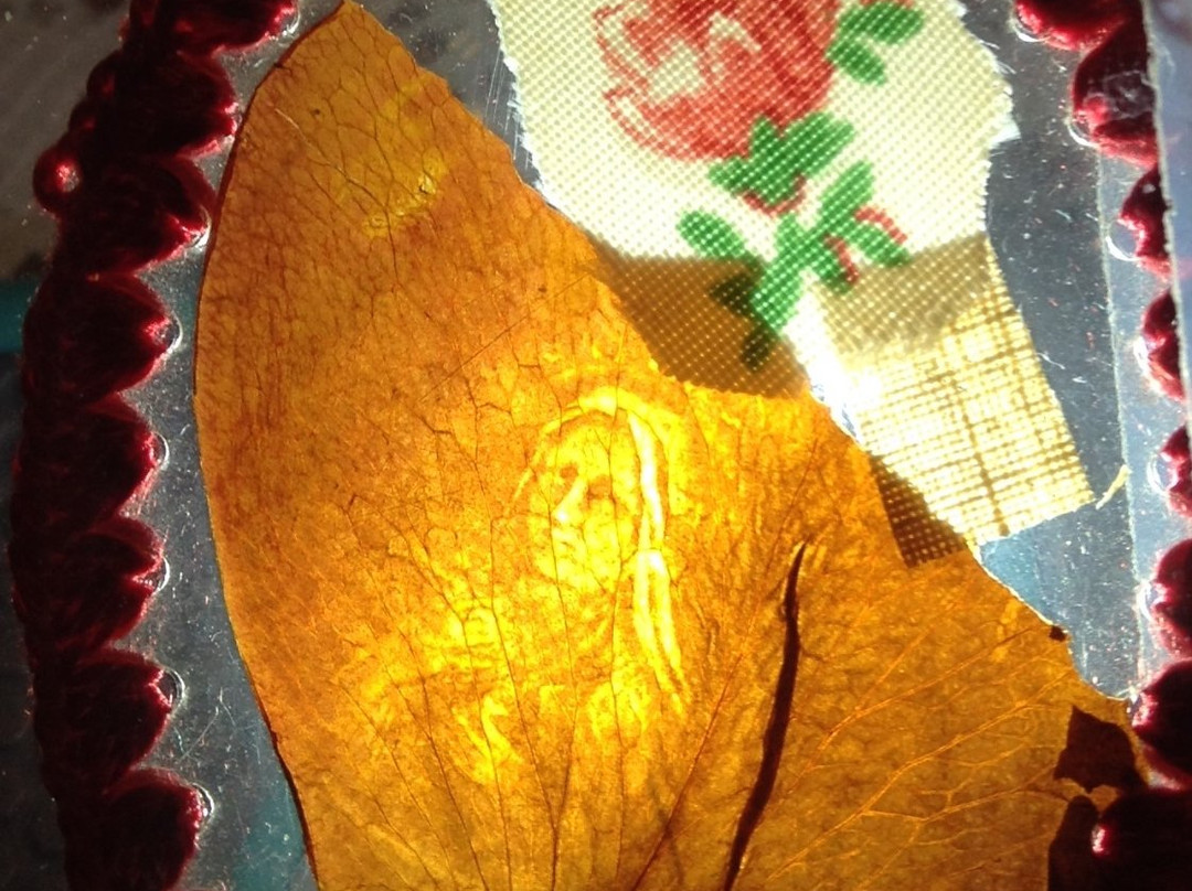 Rhoda Wise House and Grotto-坎顿必去景点