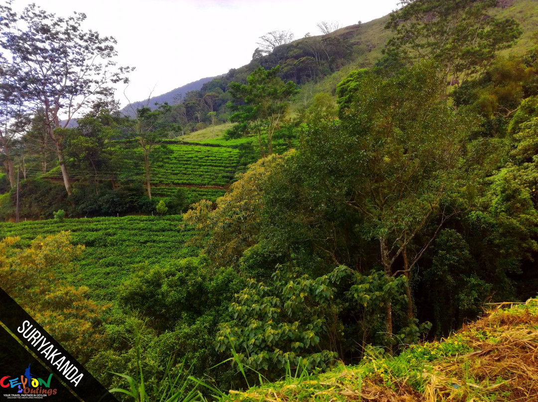 Ceylon Outings-乌纳瓦图纳必去景点