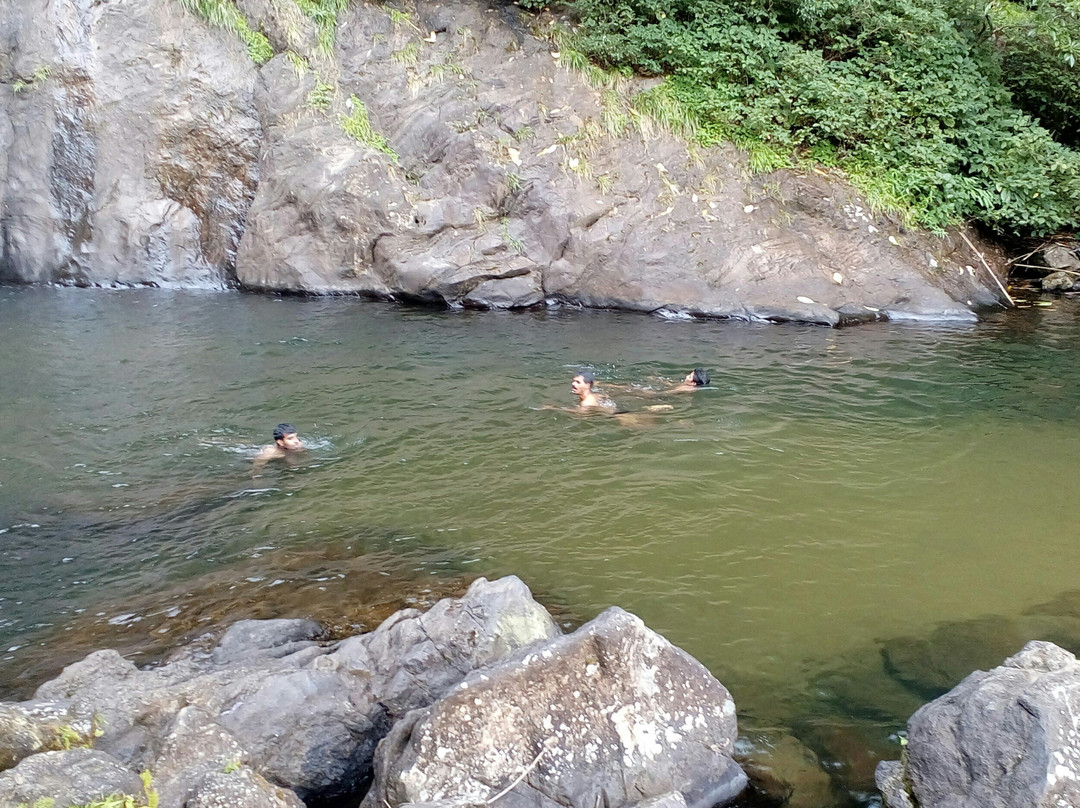 Kattikkayam Water Falls-科塔亚姆必去景点