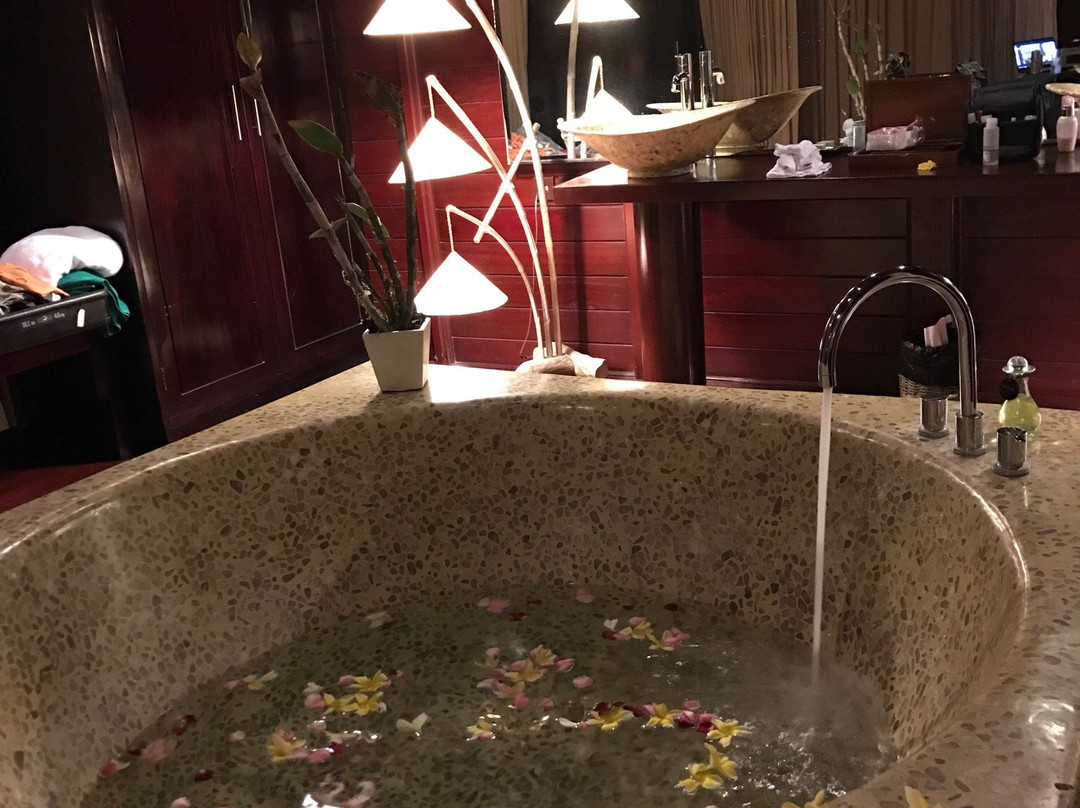 巴龙蝴蝶度假村主图