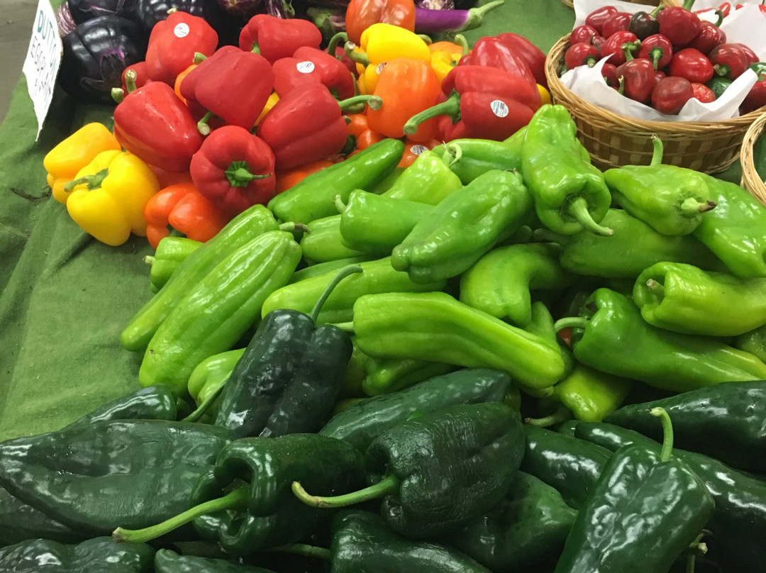 Dutton Farm Stand-曼彻斯特必去景点