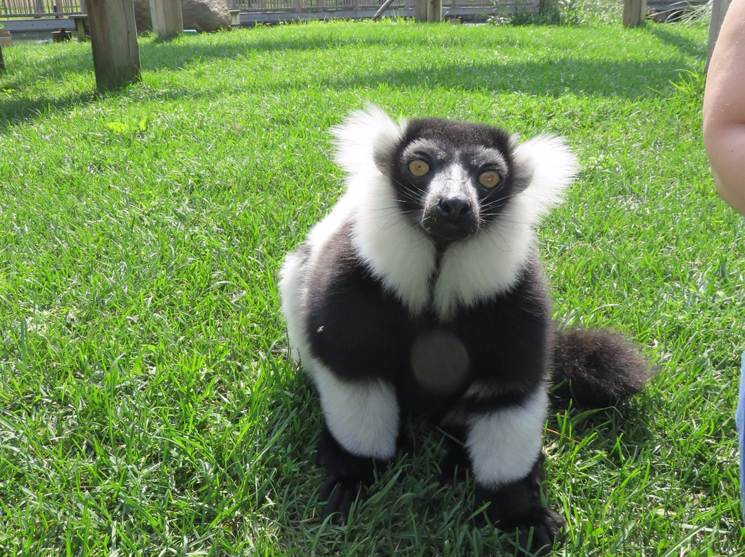 Capron Park Zoo景点图片
