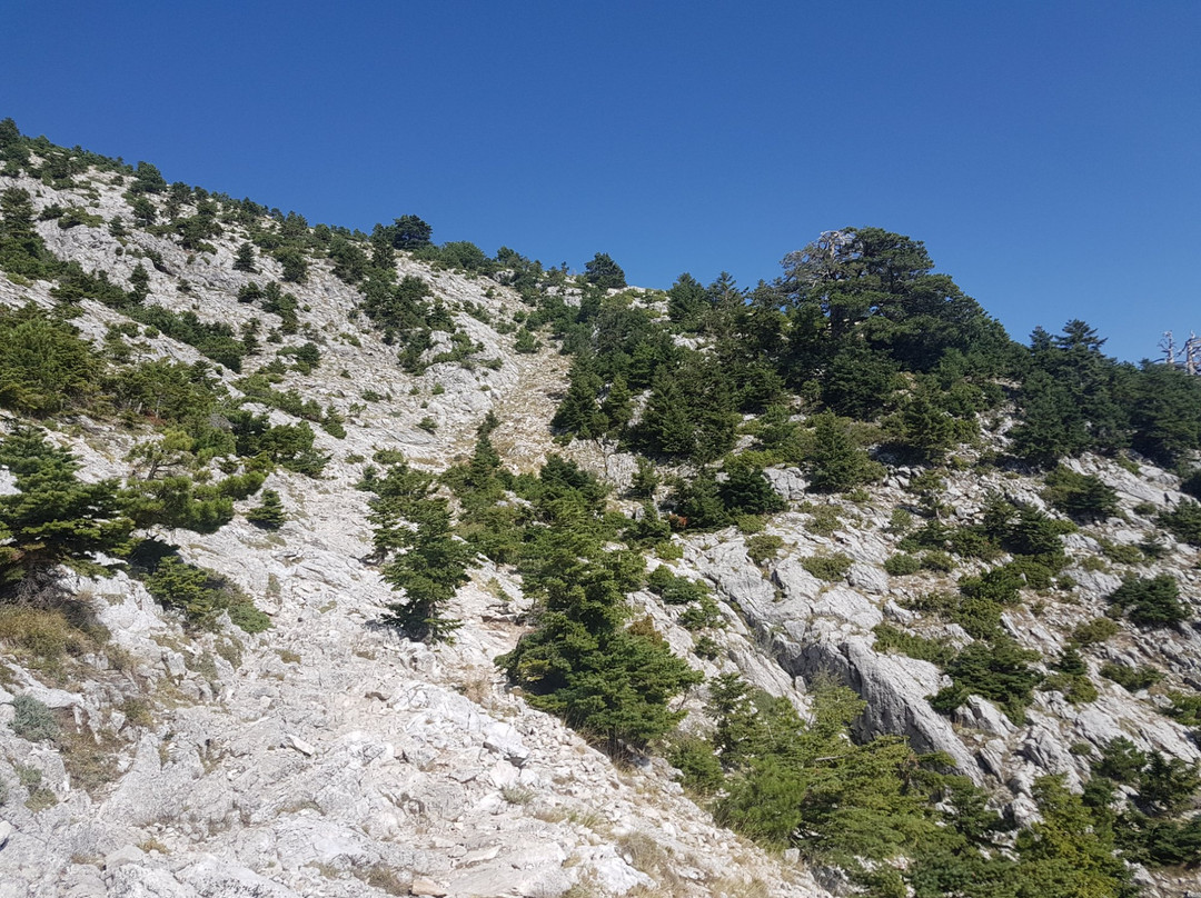 Mount Taygetos景点图片