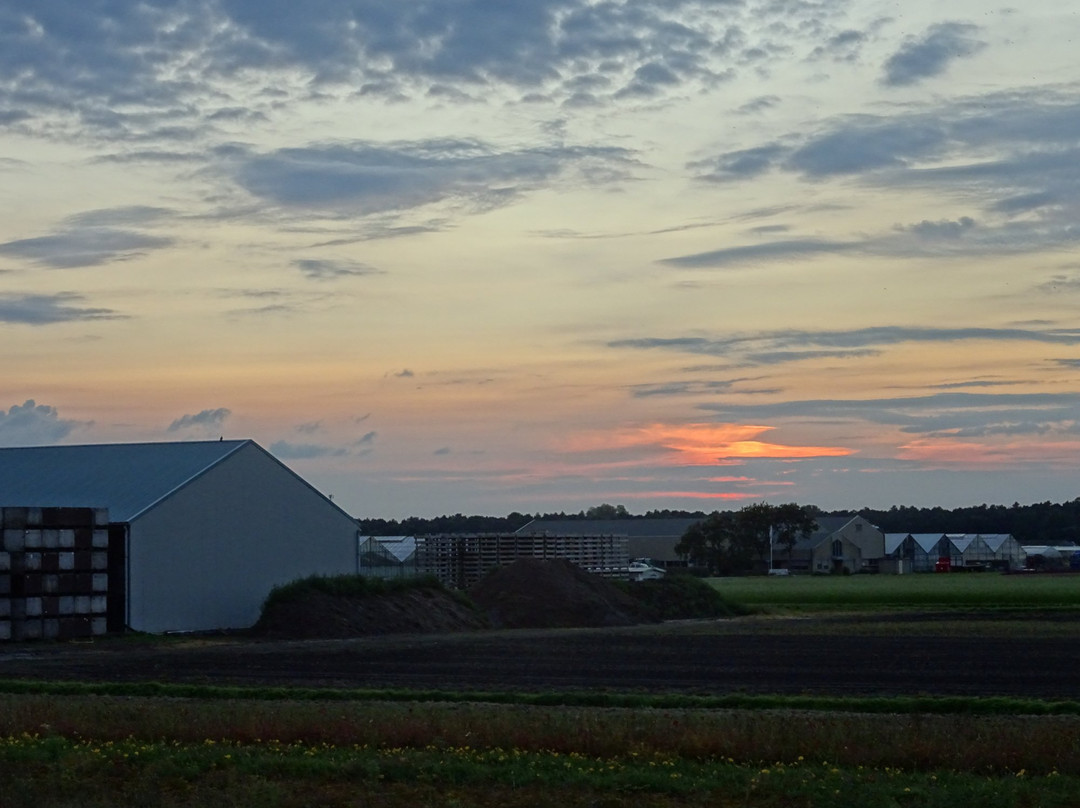 Noordwijkerhout Tourist Office-诺德韦克豪特必去景点