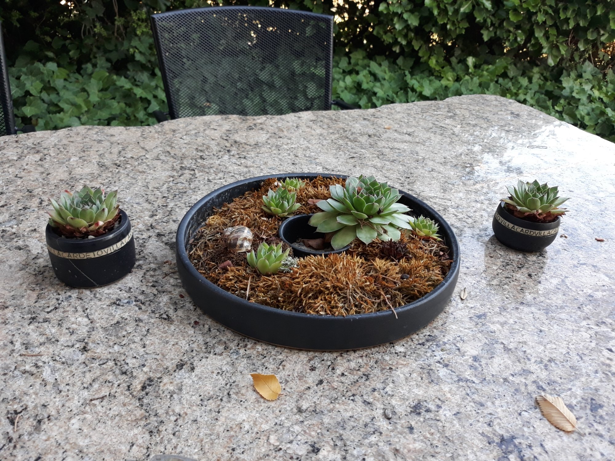 B&B Villa Cardeto-官方