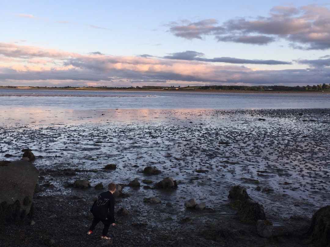 Island Hill & North Strangford Nature Reserve景点图片