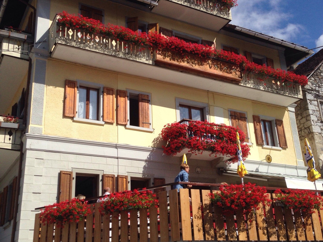 Forni Avoltri酒店住宿-Hotel Volaia