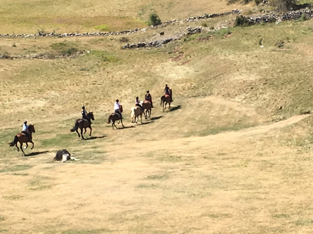 Le Ranch Lagas景点图片