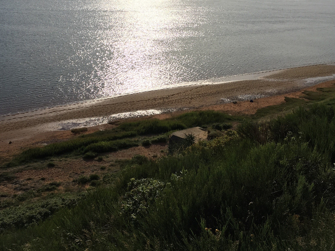 Hjerting Strand-艾斯堡必去景点