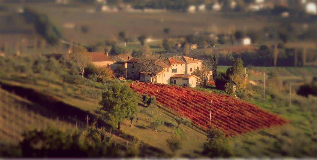 Azienda Agraria Brunozzi-Montefalco必去景点
