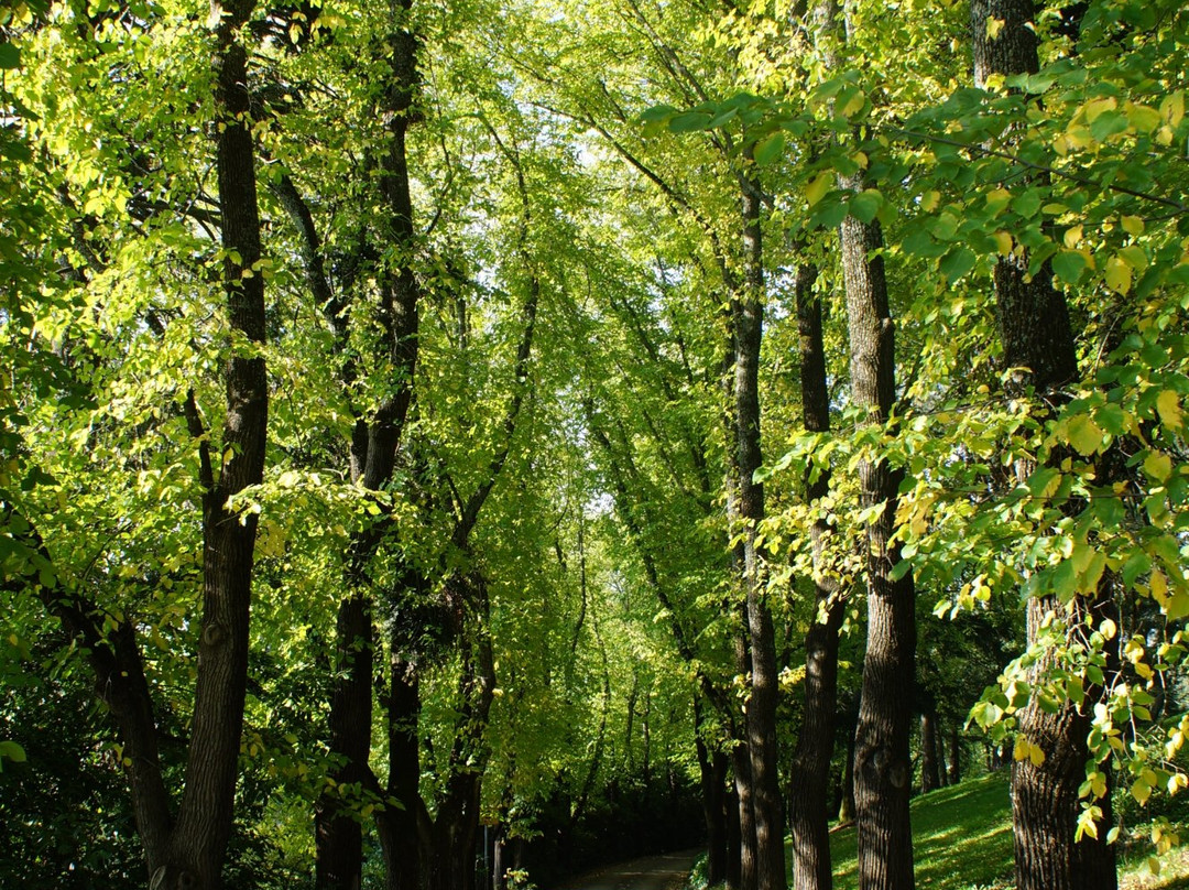 Hidden Gems of Daylesford Tours-戴尔斯福特必去景点