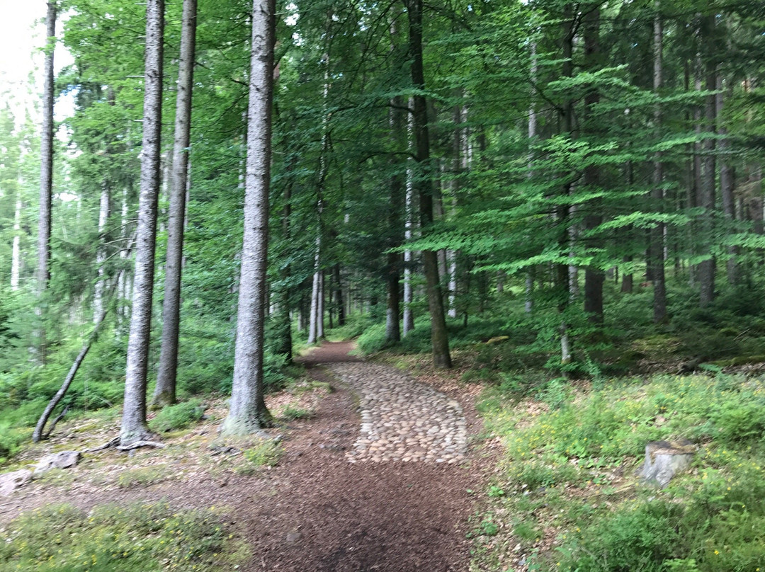 Dornstetten旅游攻略图片