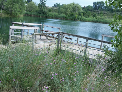 Lillie Park-安娜堡必去景点