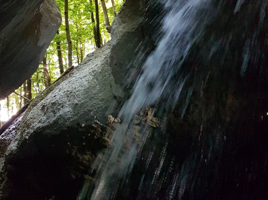 Aigner Park-萨尔茨堡必去景点