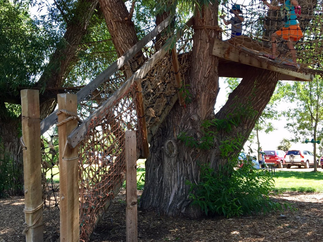 Sunflower Farm-朗蒙特必去景点