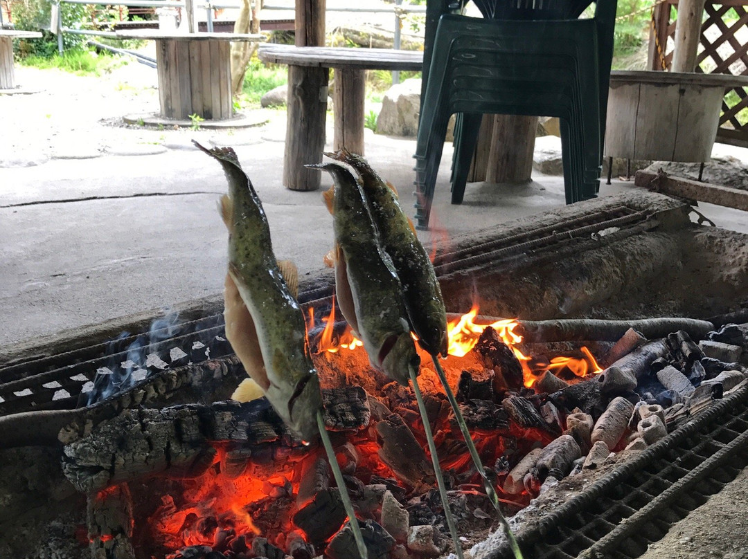 Akuda Keiryuen-郡上市必去景点