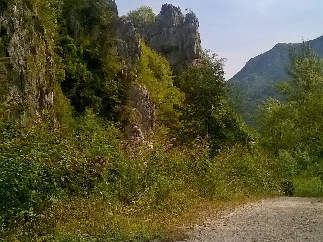 Valle di Schievenin景点图片