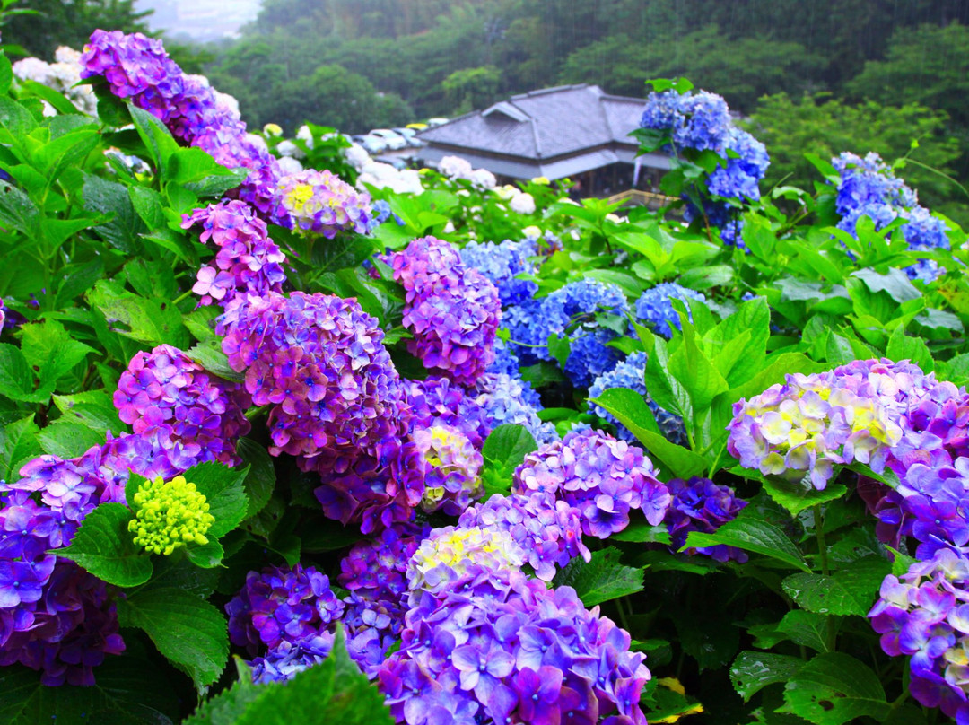 Yamanokuchi Michi-no-Eki