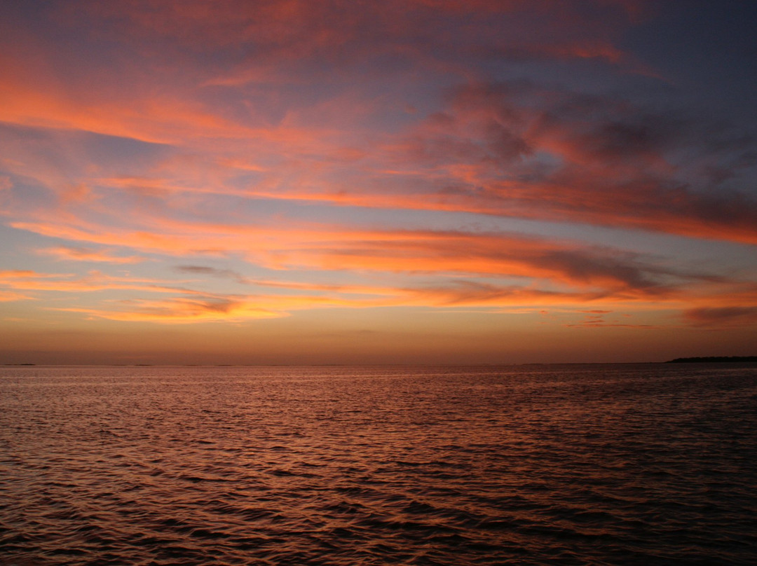 Texas Red Fish Adventures-南帕诸岛必去景点
