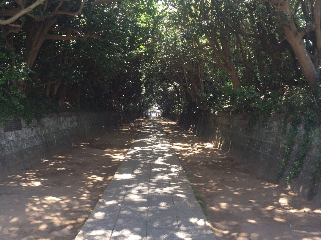 Ajigaura Beach-常陆那珂市必去景点