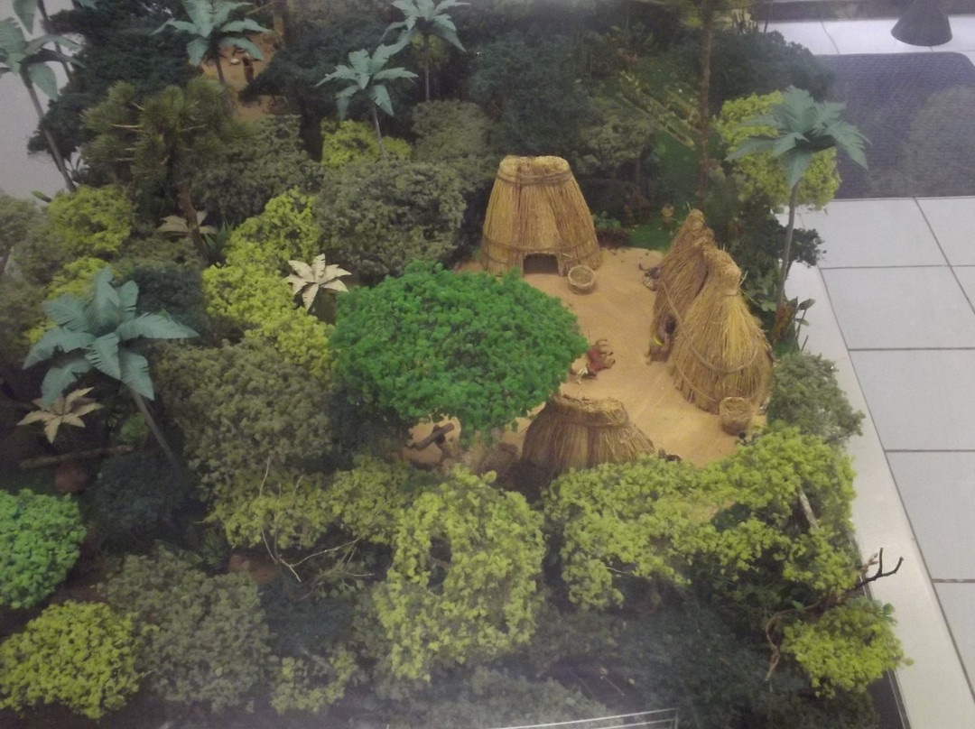 Univates University Museum of Natural Science-Lajeado必去景点