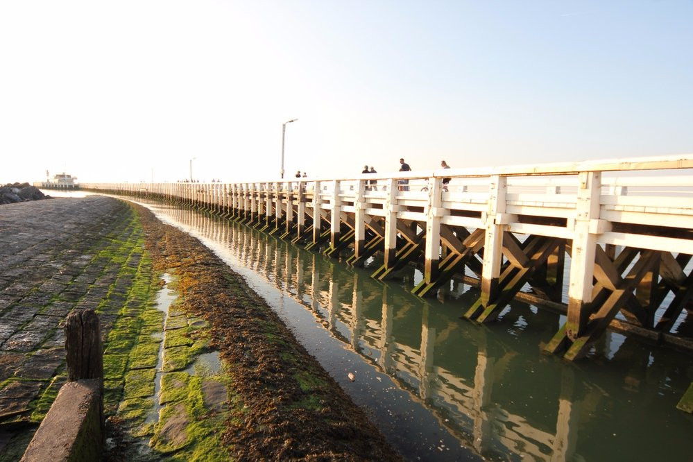 Westerstaketsel