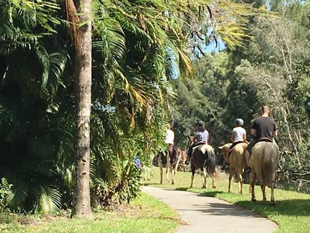 Happy Pony World-Southwest Ranches必去景点