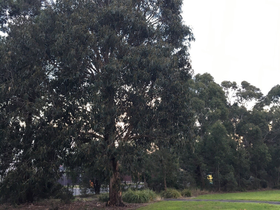 Talbot Park景点图片