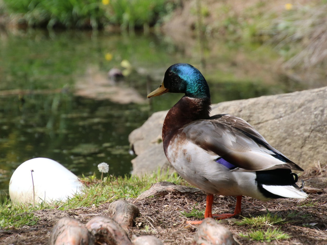 Mission Oaks Gardens-Zanesville必去景点
