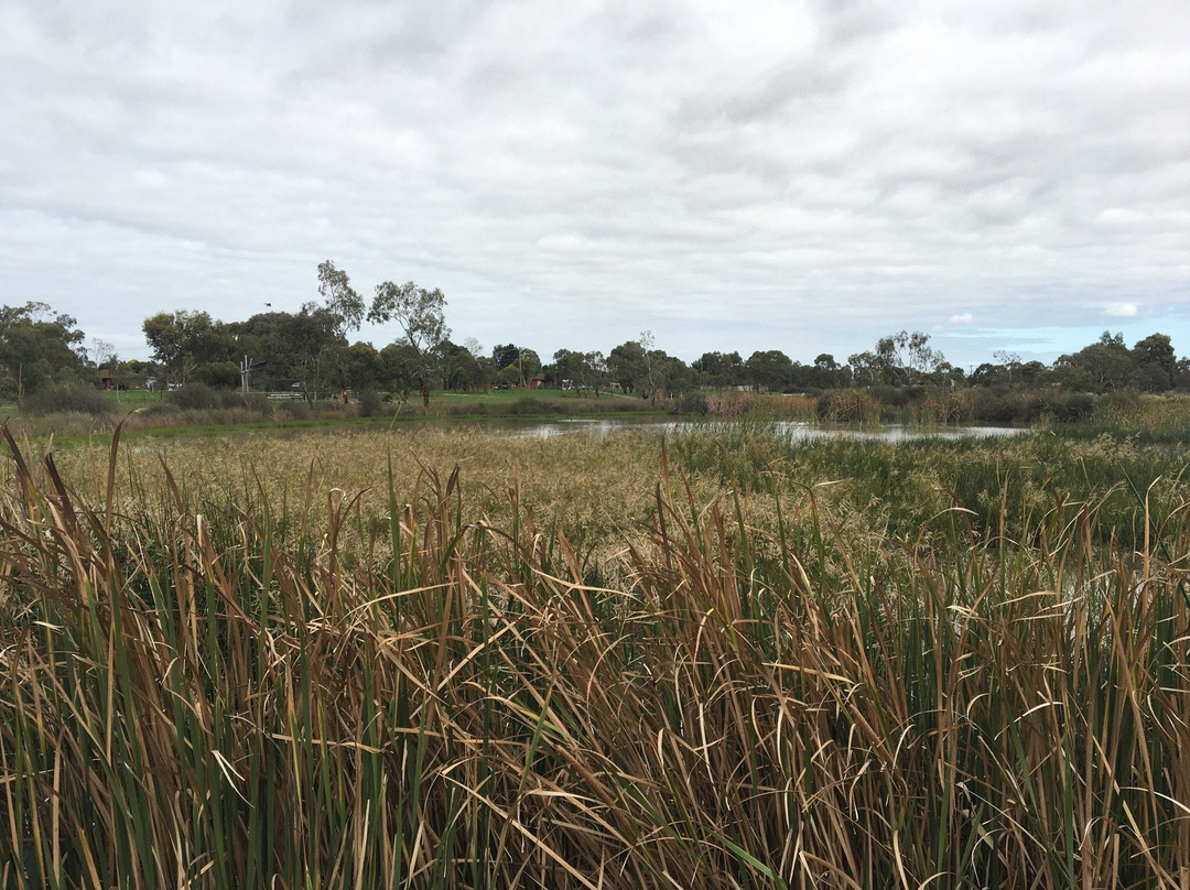 Heathdale Glen Orden Wetlands景点图片