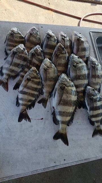 Soulwater Charters-彭萨科拉必去景点