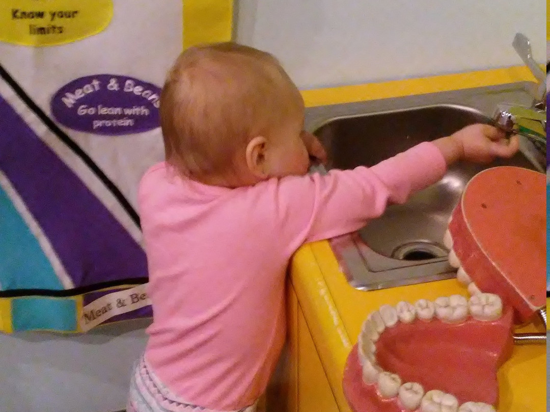 Kids Discovery Museum景点图片