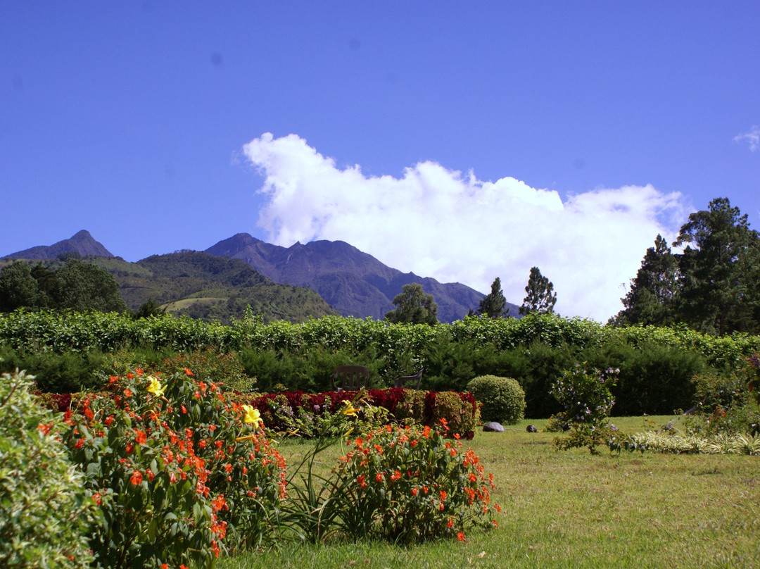 Cerro Punta旅游攻略图片