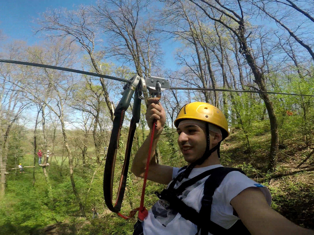 Parco Avventura Treja Adventure景点图片