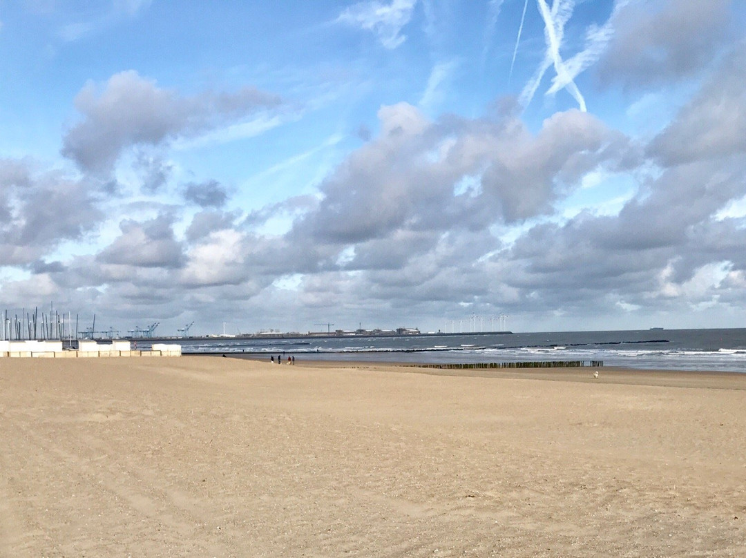 Knokke Boat Duinbergen景点图片