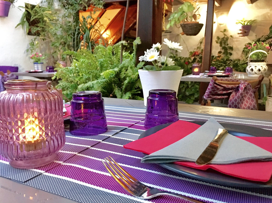 Candelaria酒店住宿-卡松纳圣多明各乡村酒店