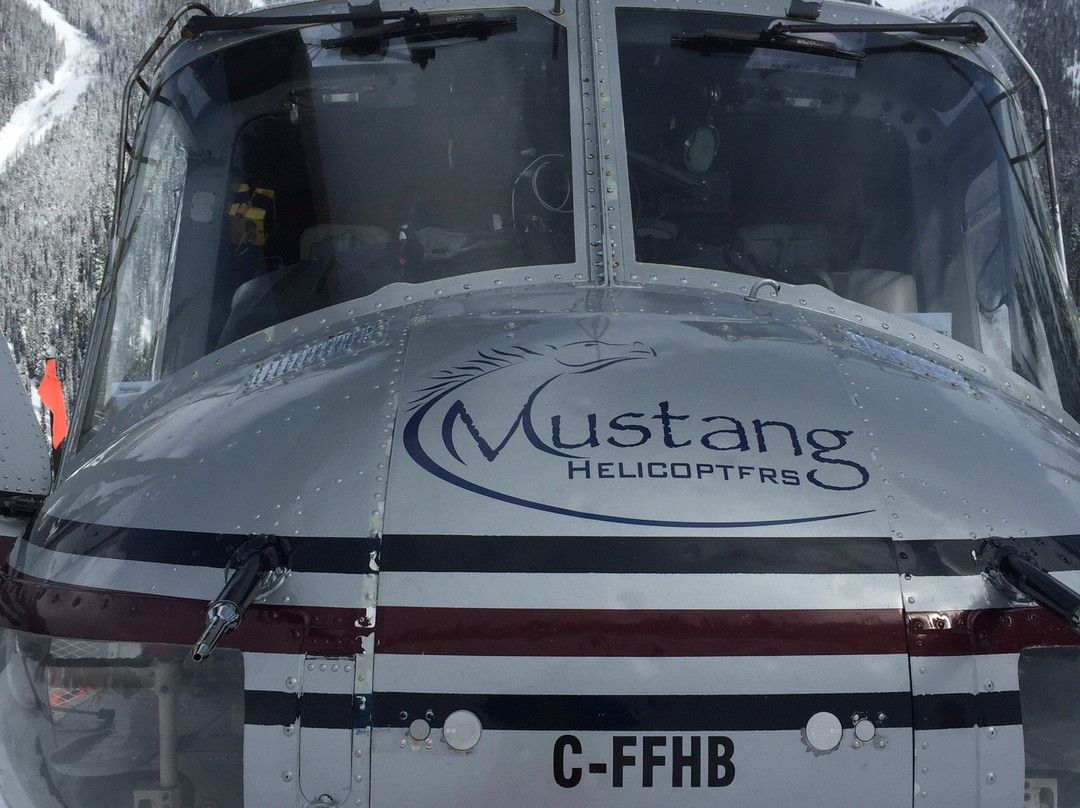 Selkirk Tangiers Heli Skiing-雷夫尔斯托克必去景点