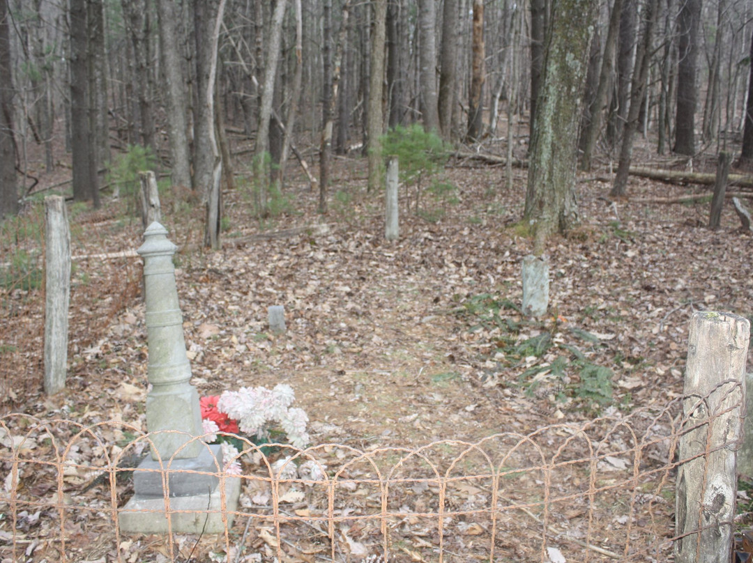 Bottom Creek Gorge-罗阿诺克必去景点