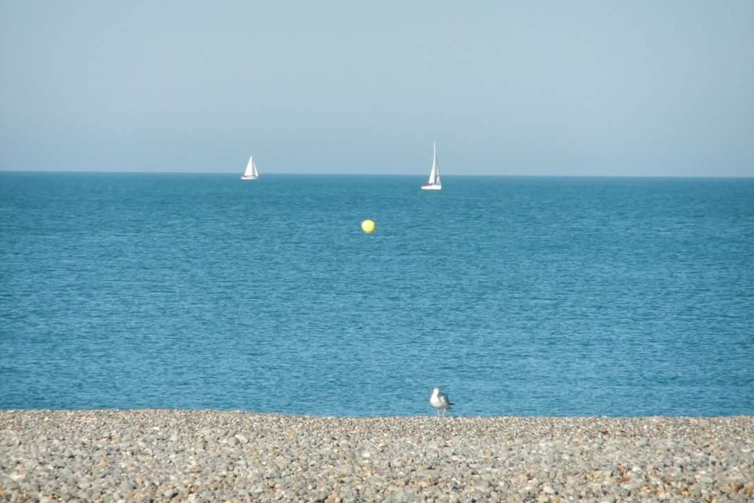 Office De Tourisme Destination Le Tréport-mers Bureau De Mers-梅尔莱班必去景点